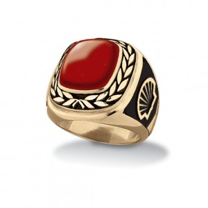 Men's Shell Gold Traditional Ring